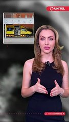 El extraño caso del hombre que creía que tenía un tumor, pero era un árbol que crecía en su pulmón