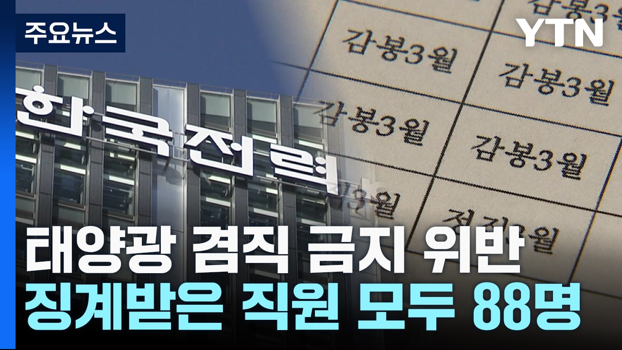 몰래 태양광 사업하다 징계받은 한전 직원 88명 / YTN