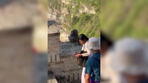Negociación entre una turista y un mono tras haberle robado el teléfono