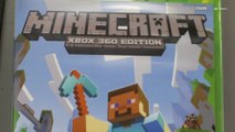 'Minecraft' Sells Over 300 Million Copies