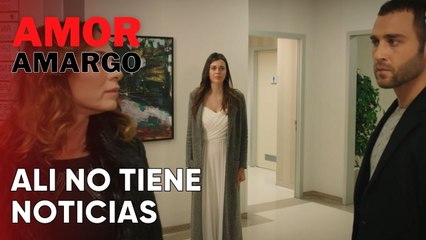 Ali no tiene noticias | Amor Amargo - Capitulo 6