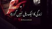 Zindagi Ek pal ma guzar jati hai || sad poetry #sadstatus