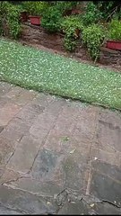 मौसम: बारिश के साथ कई जगह गिरे ओले