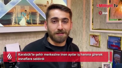 Karabük'te iş hanına giren ayı esnafa saldırdı