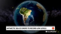 Vanishing Antarctic sea ice could cause major ripple effect