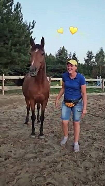L’entraîneur crée un lien spécial avec le cheval