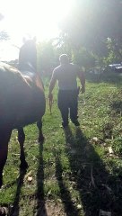 How To Washing a Día III Andalusian mare 2022