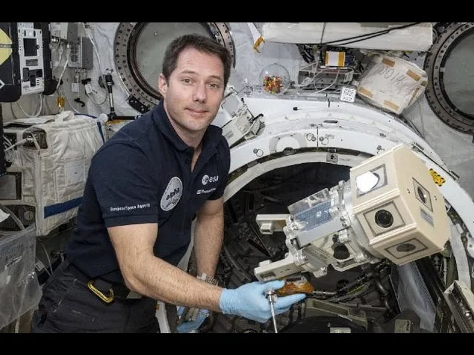 Thomas Pesquet de retour sur Terre : le message hilarant de la Gendarmerie Nationale