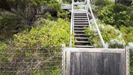 NSW government looking into treaty deals for Indigenous people