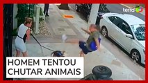 Homem tenta chutar cães da irmã do ministro Cristiano Zanin do STF; vídeo