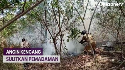 Tải video: 27 Hektare Hutan Lindung Egon Ilin Medo di Sikka Terbakar, Petugas Kesulitan Padamkan Api