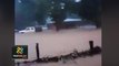 tn7-Bebé-de-3-años-que-se-estaba-ahogando-en-inundaciones-fue-rescatada-por-vecinos-161023