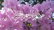 Hazrat Essa as our Iblees ka waqiya | Islamic Stories | Islamic World