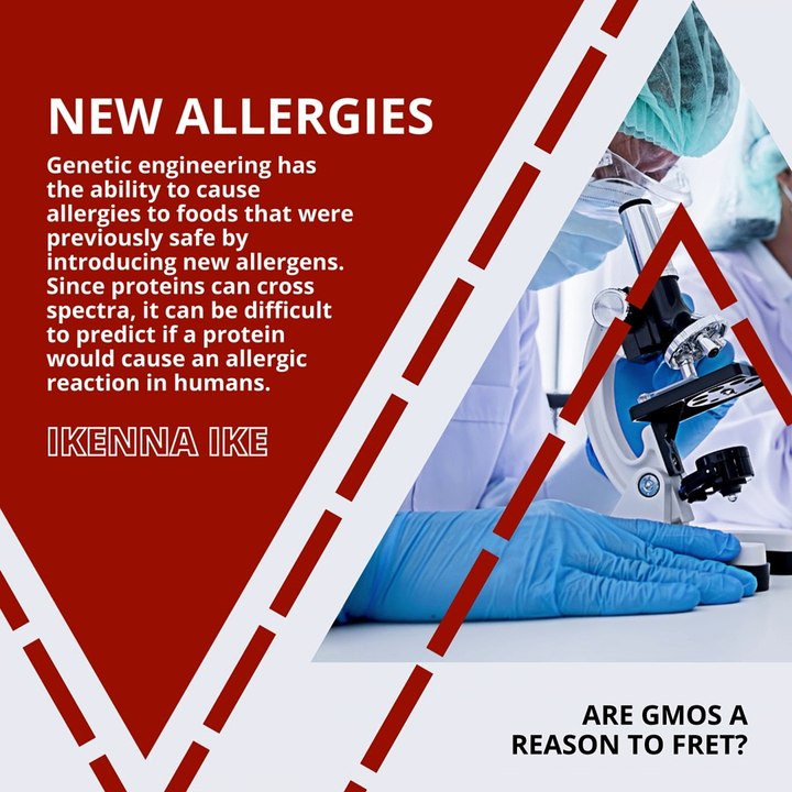 | IKENNA IKE | ARE GMO’S A REASON TO FRET? RISKS OF GENETICALLY MODIFIED ORGANISMS (PART 1) (@IKENNAIKE)