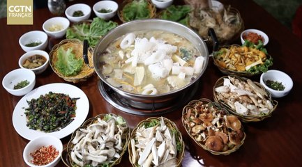 LES DÉLICES DE LA ROUTE DE LA SOIE：le Yunnan