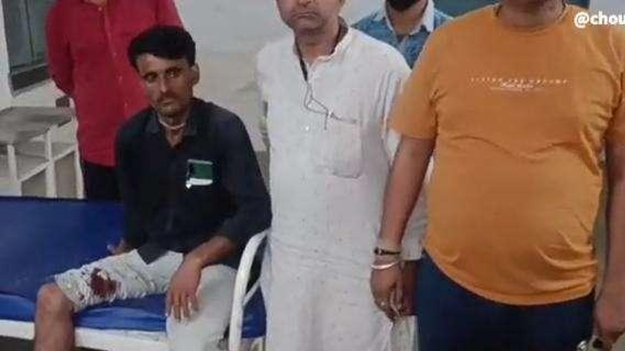 पागल कुत्ते का बड़ा आतंक, 10 से अधिक लोगों पर किया हमला
