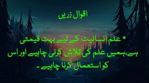 Urdu Text Quotes // Urdu Quotes About Life // Short Urdu Quotes