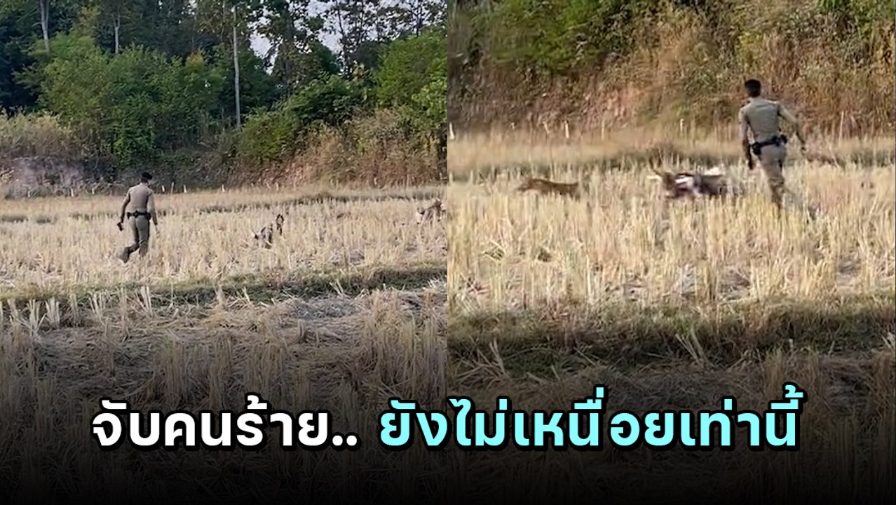 ภารกิจเปลี่ยนไป... เมื่อตำรวจต้องจับผู้ร้าย 4 ข...