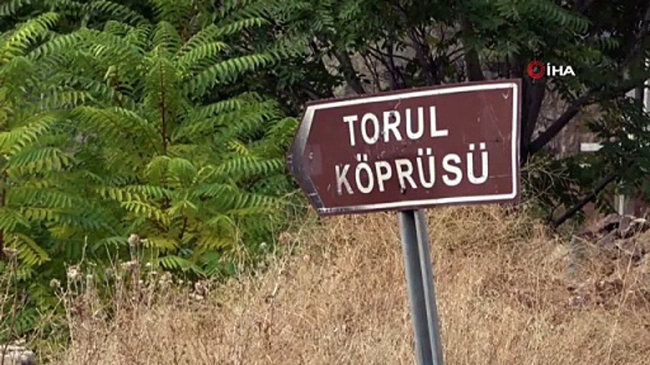 Torul Barajı'nda sular çekildi, tarihi Torul Köprüsü gün yüzüne çıktı