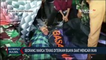Seorang Warga Tewas Diterkam Buaya Saat Mencari Ikan