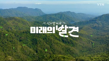 [YTN 특집] 산의날 미래의발견, 숲에서 삶을 찾다 / YTN