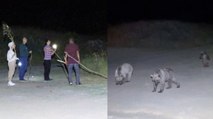 Piknik savaşı: Bir tarafta aileler, diğer tarafta ayılar