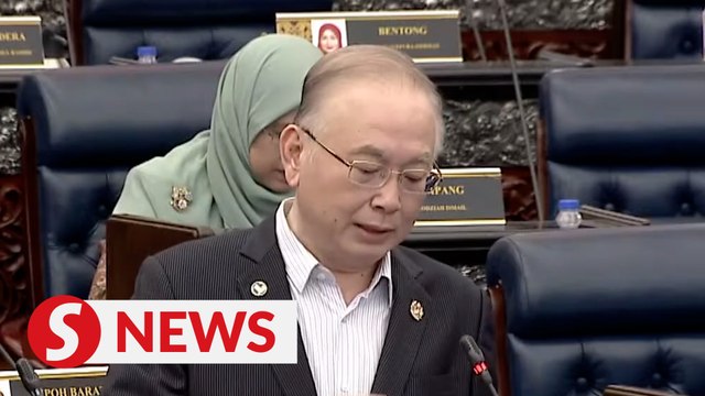 Putrajaya should define high-value items better in new tax, says Dr Wee