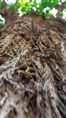 Beautiful Amazing View | 4K Video | Relaxation | #nature