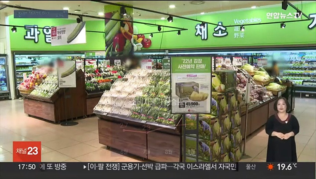 정부 "물가 안정 총력"…유류세 인하·보조금 연장