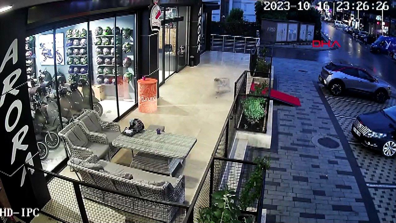 La personne qui a placé son chien Pitbull sur des chiens de rue et a tiré un couteau sur un commerçant à Avcılar a été arrêtée