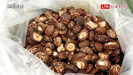 市值300萬！海巡破獲中國漁船金門海域走私2.4噸香菇(翻攝畫面)