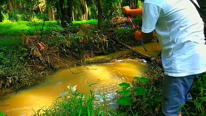 Fishing in the garden ditch!!! The bonus is getting jumbo catfish