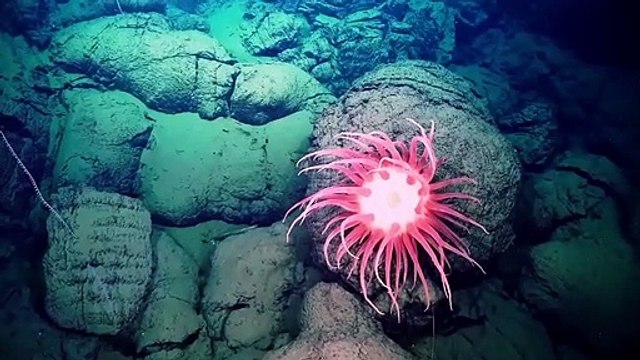 Deep Rising Bande-annonce VO