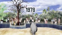 Born Free's new campaign video calling for an end to elephants in zoos