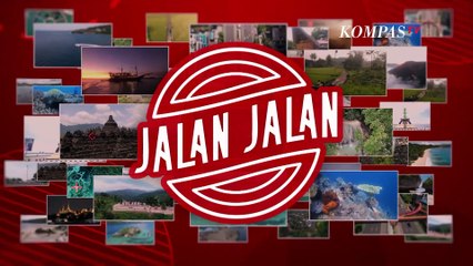 Berkunjung ke Osulloc Tea Museum Nikmati Teh Asli Korea Selatan  | Jalan-Jalan