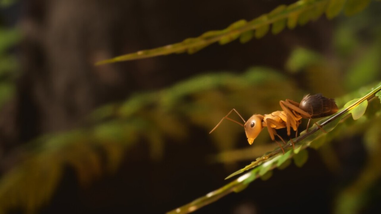 In Empire of the Ants könnt ihr eine Ameisenarmee in den Krieg schicken