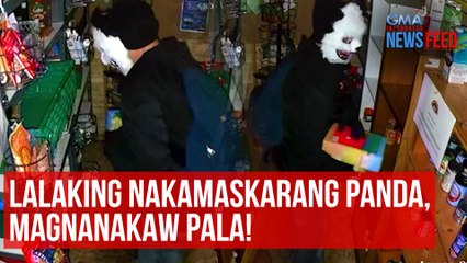 下载视频: Lalaking nakamaskarang panda, magnanakaw pala! | GMA Integrated Newsfeed