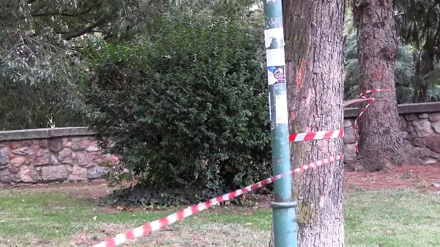 Salamanca cierra diferentes parques y zonas deportivas debido a la alerta por fuerte viento