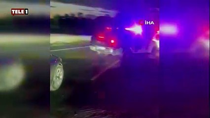 Köpek dövüştüren bahis çetesine operasyon! Masum hayvanlar zulümden kurtuldu