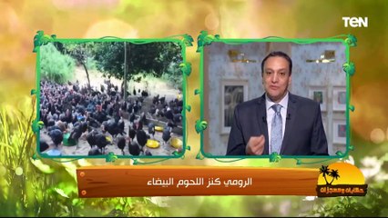 Скачать видео: لو مش عارف ليه اتسمى الديك الرومي بالإسم ده .. شوف الفيديو ده عشان تعرف كل حاجة عن الديك الرومي 