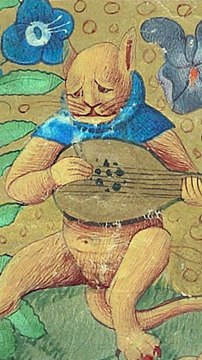 Comment les chats ont sauvé des vies