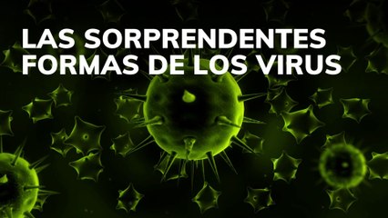 Las sorprendentes formas de los virus