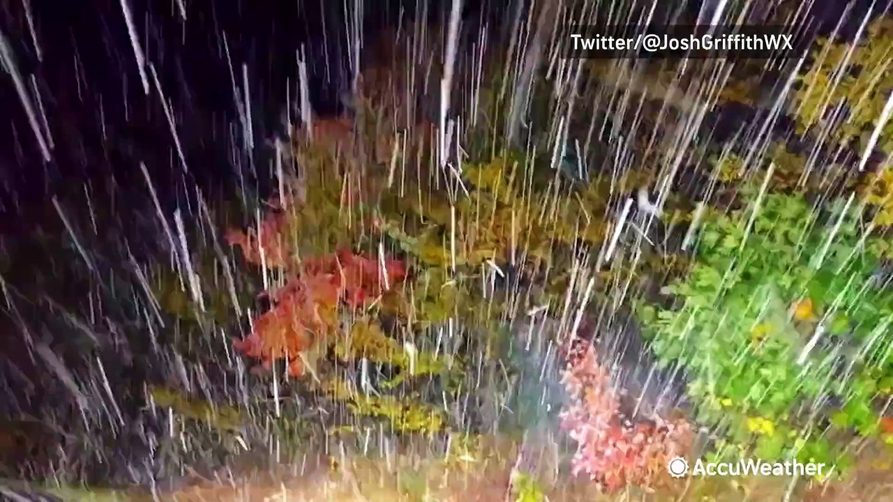 Fall foliage meets first flakes of winter