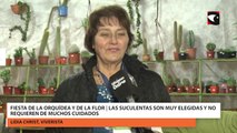 Fiesta de la Orquídea y de la Flor | Las suculentas son muy elegidas y no requieren de muchos cuidados