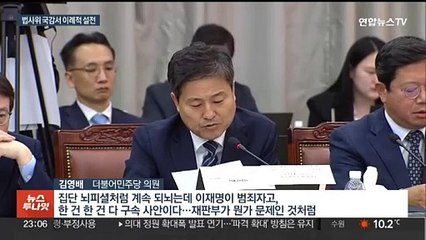 [녹취구성] 김영배 "집단 뇌피셜"…중앙지검장 "개인 변호사냐"