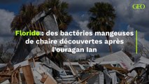 Floride : des bactéries mangeuses de chaire découvertes après l'ouragan Ian