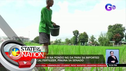 Inilaang P10-B na pondo ng DA para sa imported chemical fertilizer, pinuna sa senado | SONA