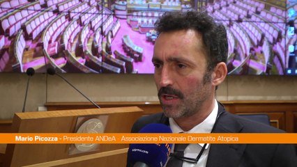 Picozza (Andea) "Attenzione a stili di vita per infiammazioni tipo 2"