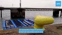 Une centrale solaire flottante dans le port de Brest