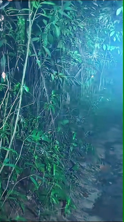 Paranormal activity ghost on camera part 249